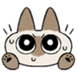 :azuki_001: :azuki_001: