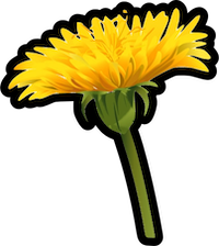 :dandelion: :dandelion: