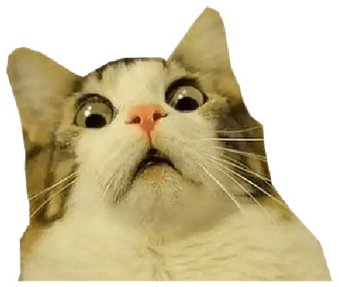 :catShocked: :catShocked: