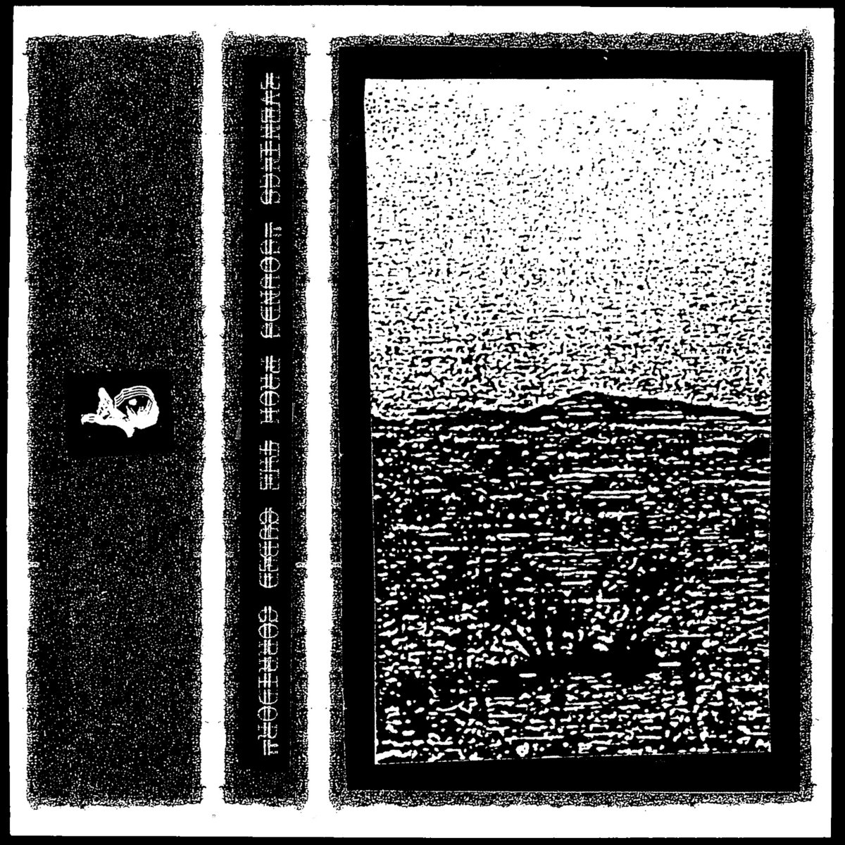 Sounds From The Cubed Corridor