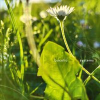 bucolic systems