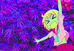 Weed!!!
