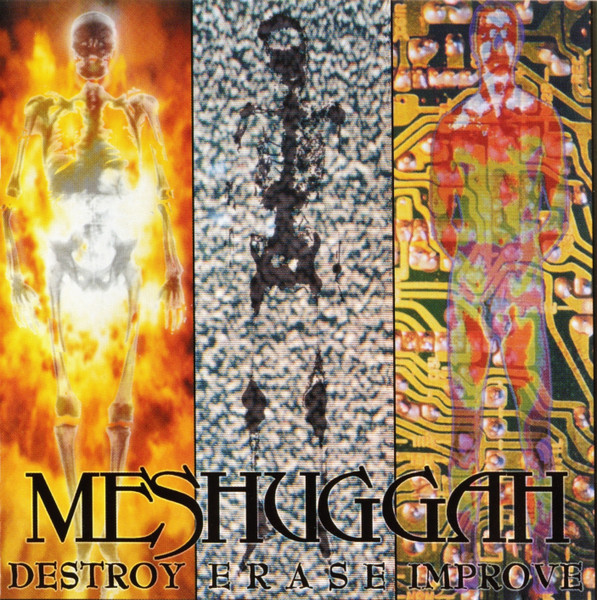 Destroy Erase Improve