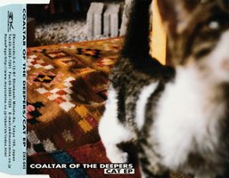 Cat EP
