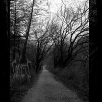 Fading Days Away...