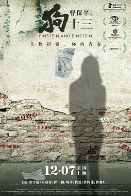Einstein & Einstein