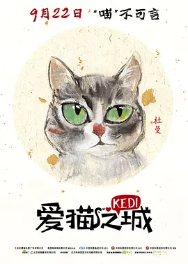 Kedi