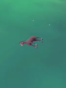 The Horse Raised by Spheres