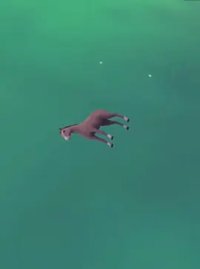 The Horse Raised by Spheres