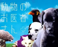 動物のお医者さん