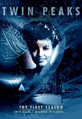 Twin Peaks Season 1