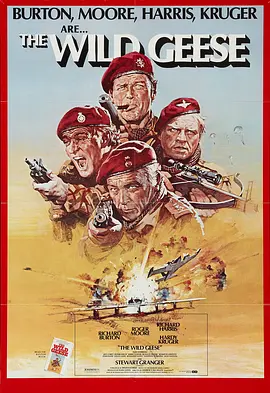 The Wild Geese