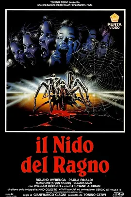 The Spider Labyrinth