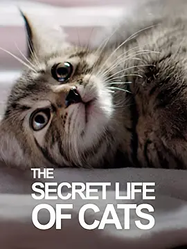 Horizon: The Secret Life of the Cat