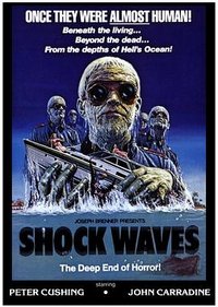 Shock Waves