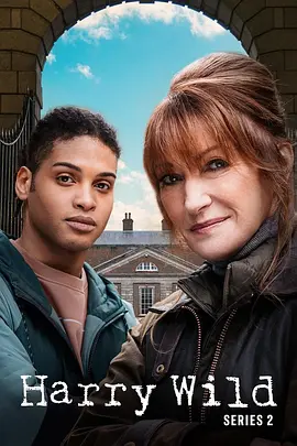 Harry Wild Season 2