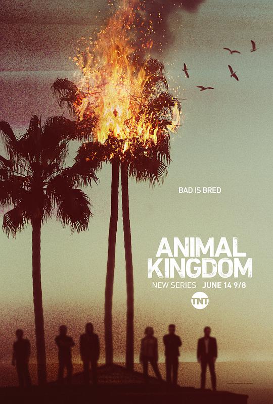 Animal Kingdom (动物王国)