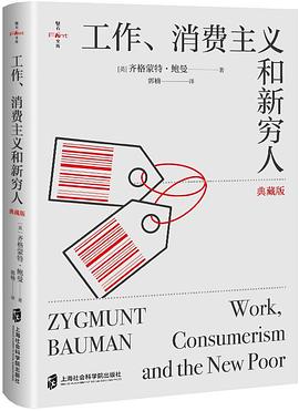 Work, Consumerism and the New Poor (Hardcover)