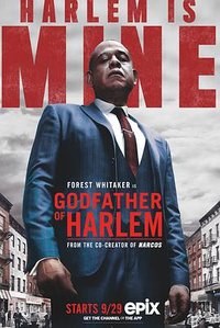 Godfather of Harlem Season 1