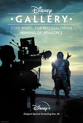 Disney Gallery / Star Wars: The Mandalorian (Disney Gallery: Star Wars: The Mandalorian)