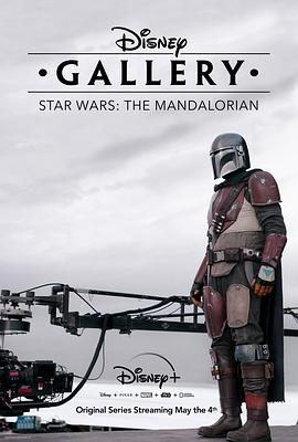 Disney Gallery / Star Wars: The Mandalorian (Disney Gallery: Star Wars: The Mandalorian)