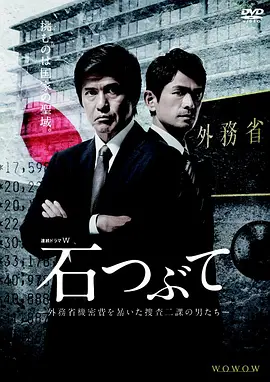 Throwing Stones : Cops Against the Government (砾石)