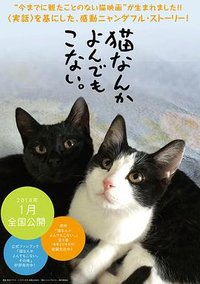 Cats Don't Come When You Call