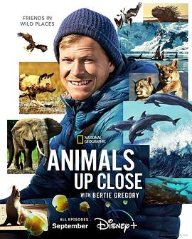 Animals Up Close with Bertie Gregory