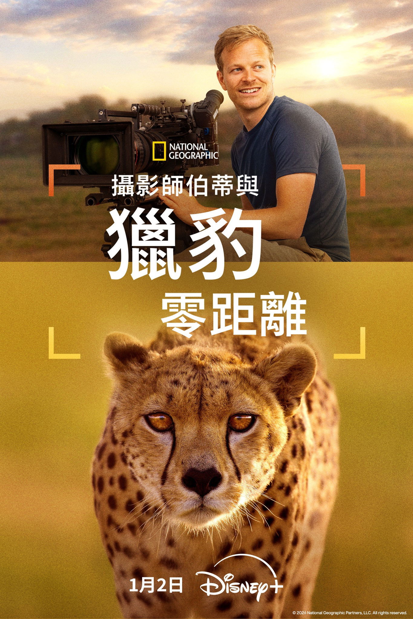 Cheetahs Up Close with Bertie Gregory