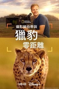 Cheetahs Up Close with Bertie Gregory