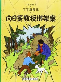 向日葵教授绑架案 (中国少年儿童出版社 2009)