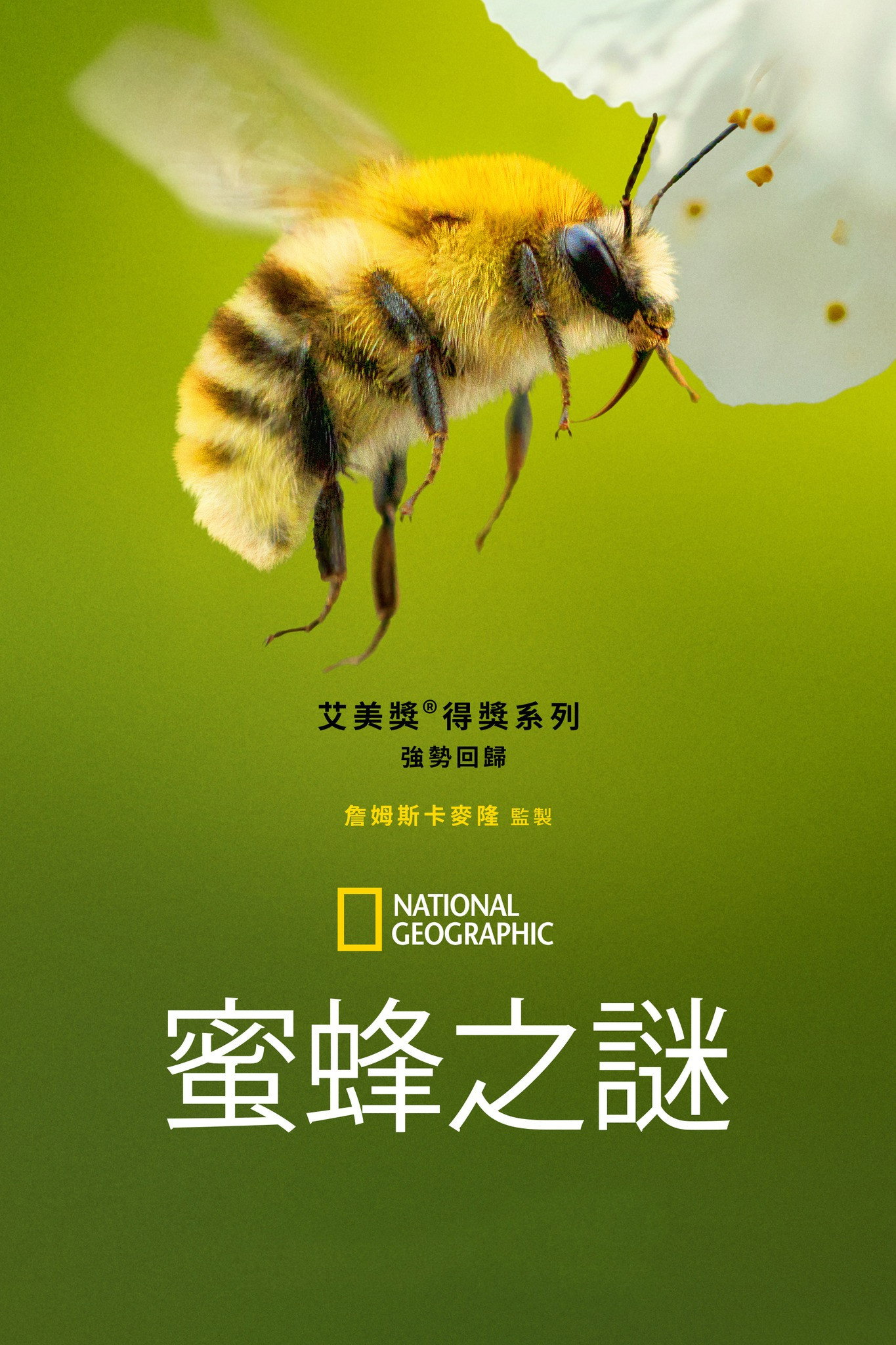 Secrets of the Bees (Miniseries)