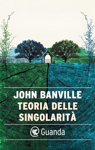Teoria delle singolarità
