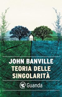 Teoria delle singolarità