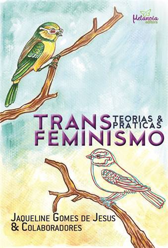 Transfeminismo: teorias e práticas