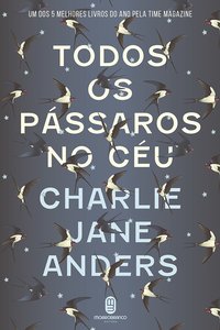 Todos os pássaros no céu