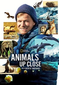 Animals Up Close with Bertie Gregory