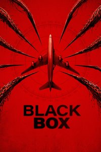 Black Box (Flight 298)