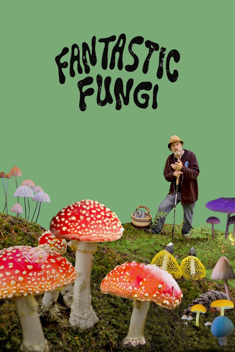 Fantastic Fungi