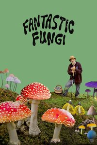 Fantastic Fungi