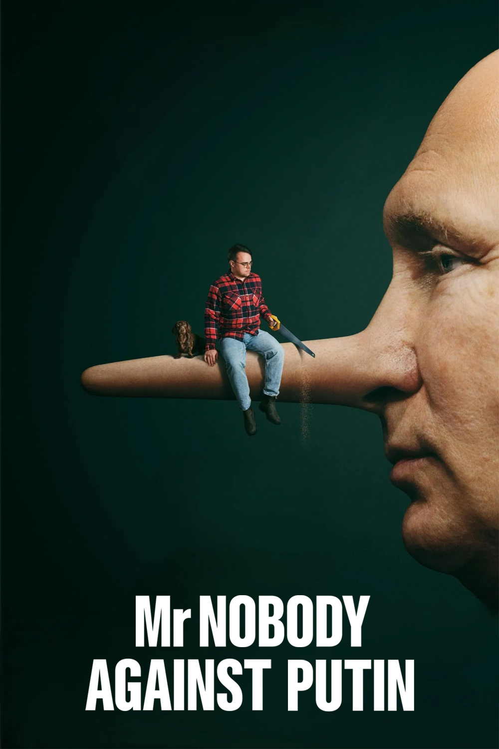 Mr. Nobody Against Putin