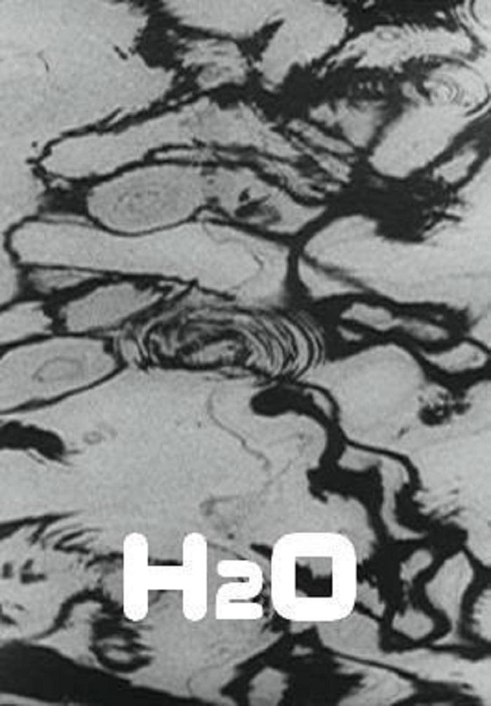 H₂O