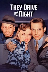 They Drive by Night