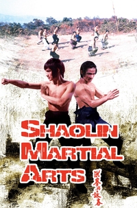 Shaolin Martial Arts