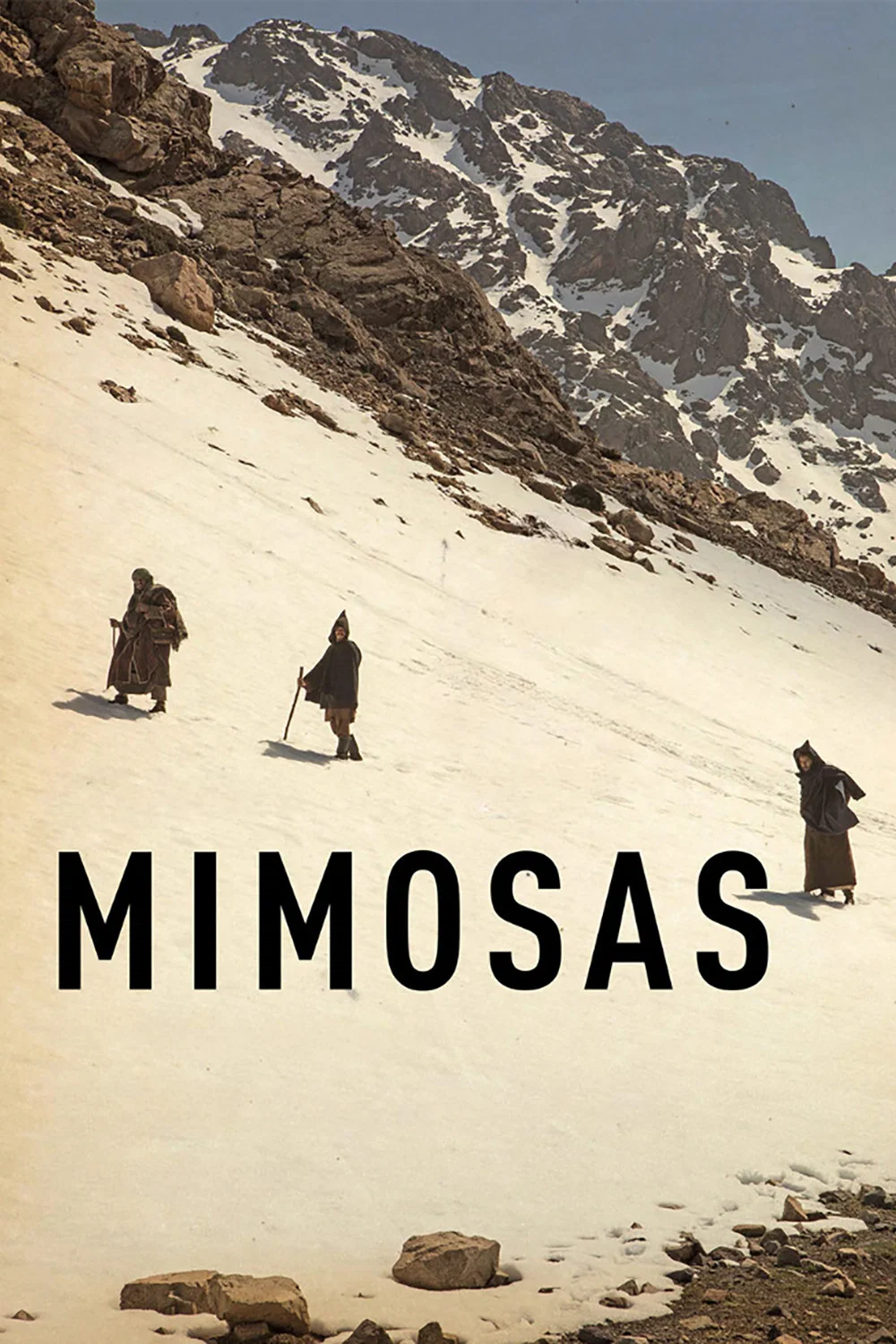 Mimosas