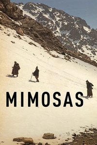 Mimosas