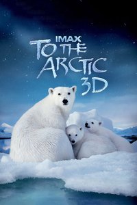 To the Arctic 3D