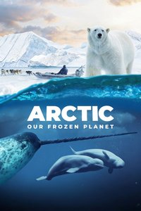 Arctic: Our Frozen Planet