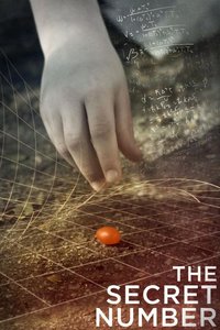 The Secret Number