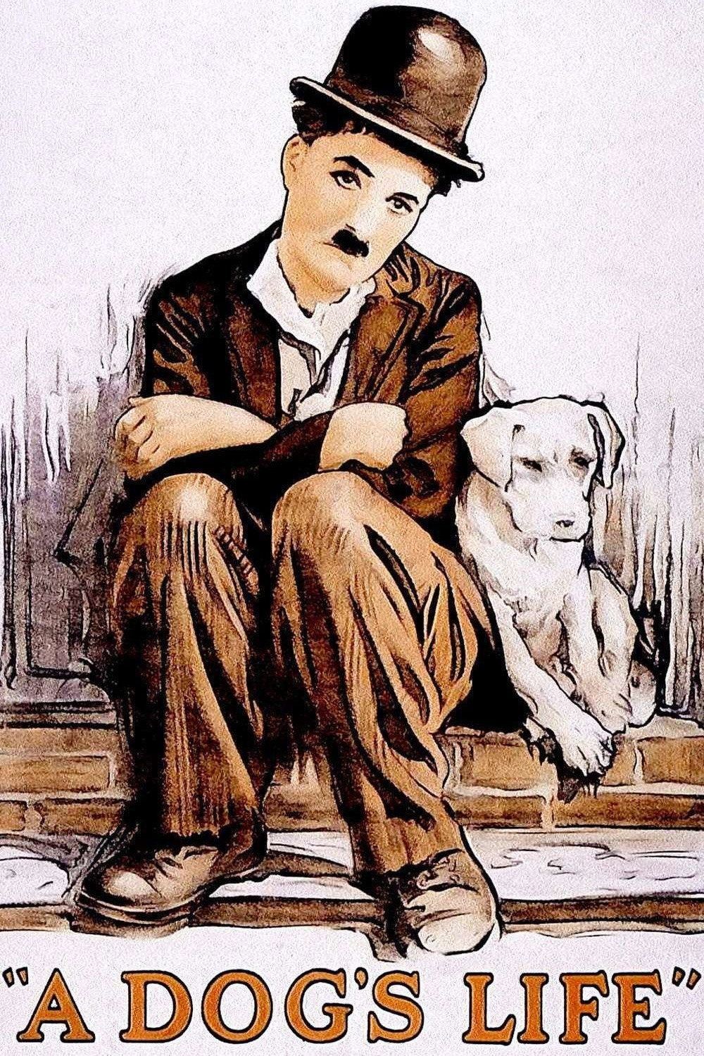 A Dog's Life